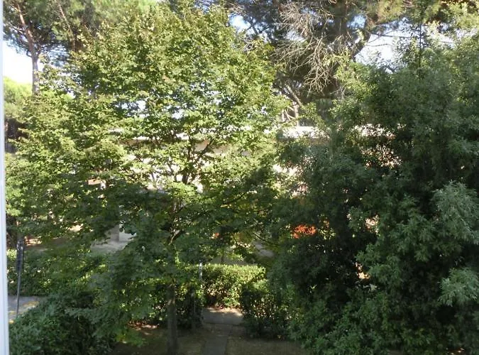 Pineda Μπιμπιόνε